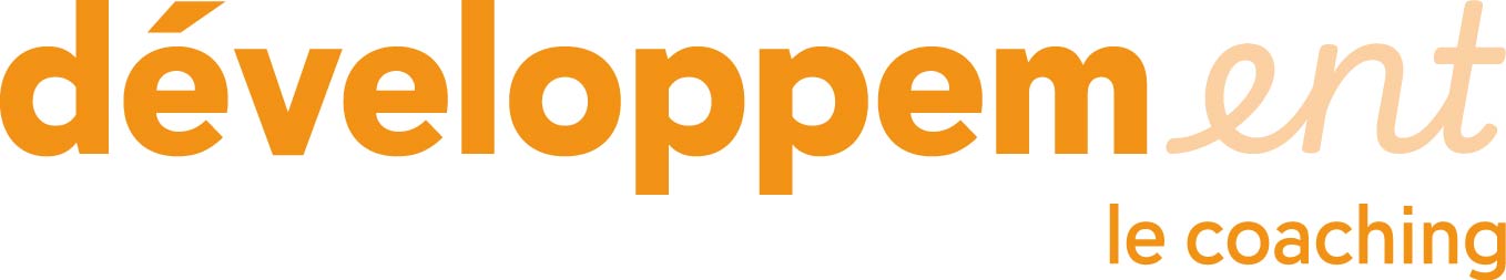 offre développement - New Perspective